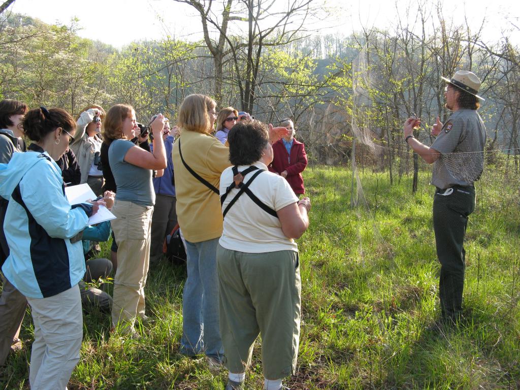 excursie în pădure