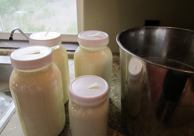 Le lait fait maison est un produit précieux.