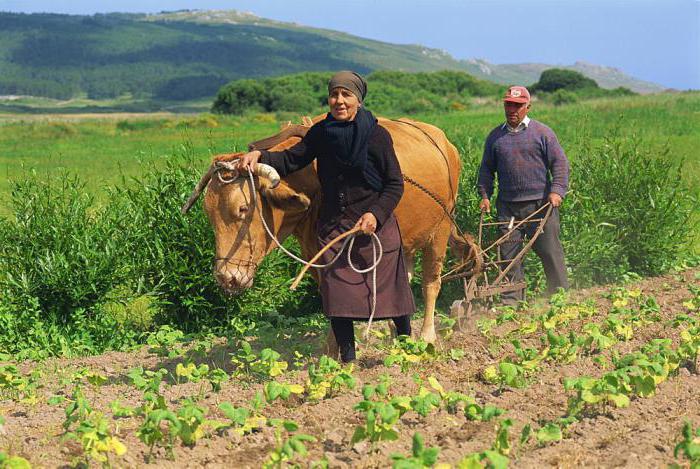  teren pentru construirea unei case