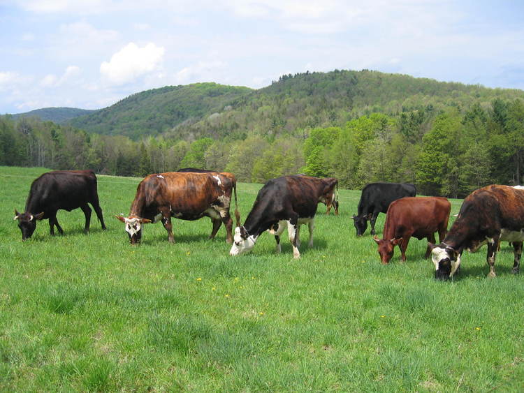 Développement économique de l'agriculture