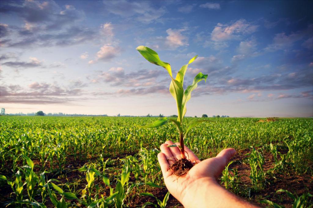 Modes de développement agricole