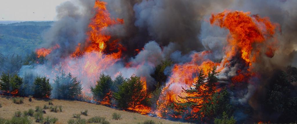 incendii de pădure