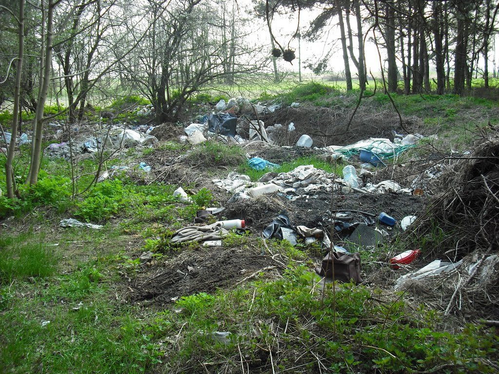 depozit de gunoi în pădure