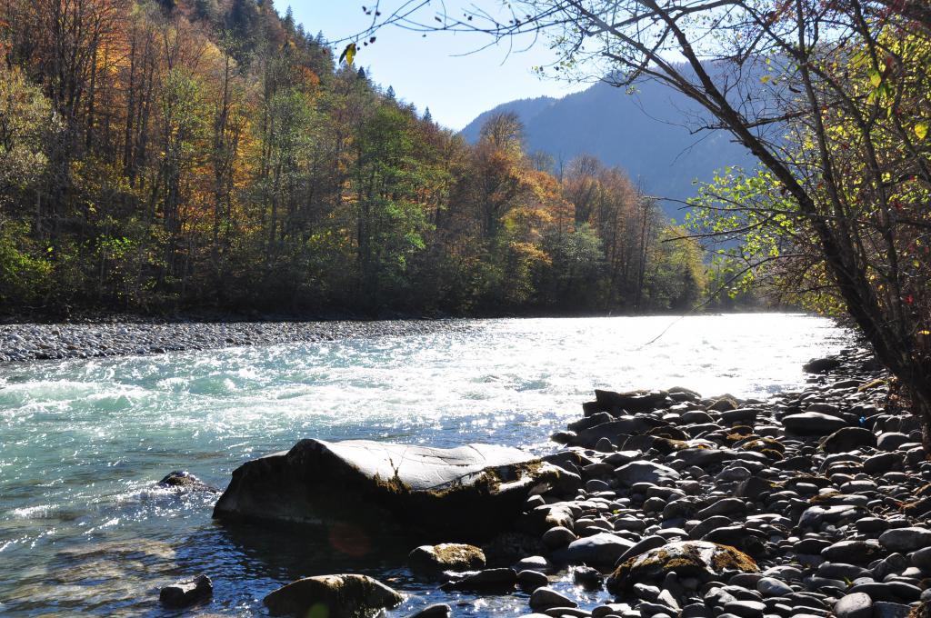 Pădure în apropierea râului muntos Laba (Caucazul de Nord)