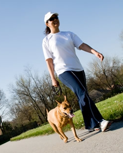 Combien coûte promener son chien