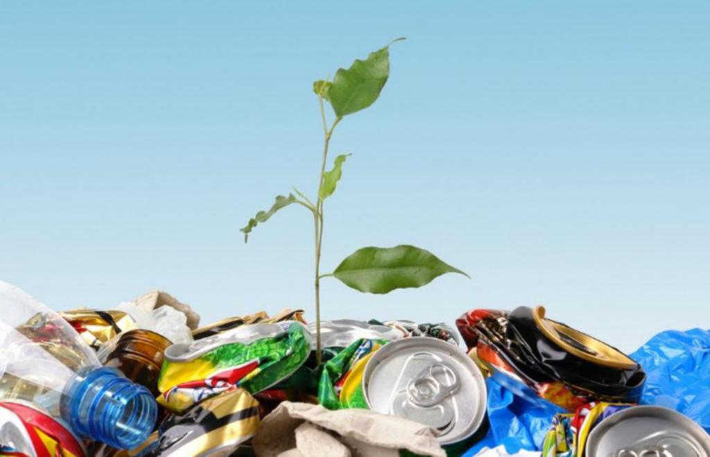 Impact écologique des déchets