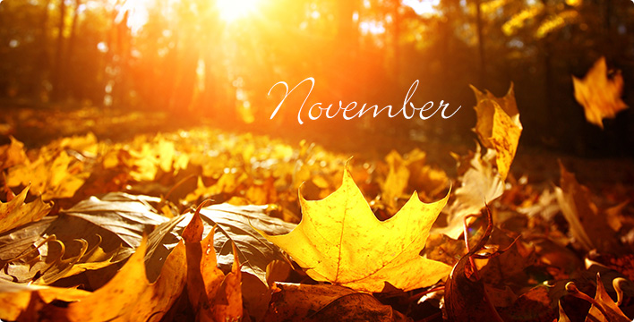 Month of November