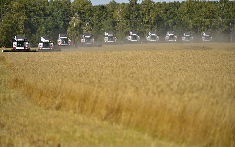 Agriculture de la région de Tcheliabinsk