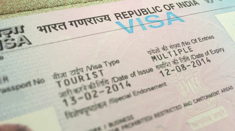 Visa către India